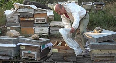 Bursa'da ilginç hırsızlık...Arıları kovanlarıyla birlikte çaldılar