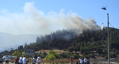 Çanakkale'de orman yangını kontrol altına alındı