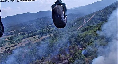 Çanakkale'de orman yangını