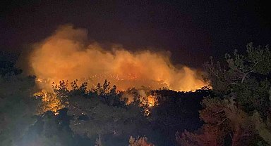 Çanakkale'de orman yangını