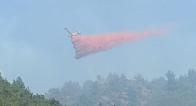 Çanakkale'deki orman yangınlarında hava araçları bin 800 sorti yaptı, 4 bin 900 ton su attı