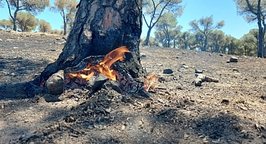 Cennet Tepesi'nde Çıkan Yangın Söndürüldükçe Alevleniyor 