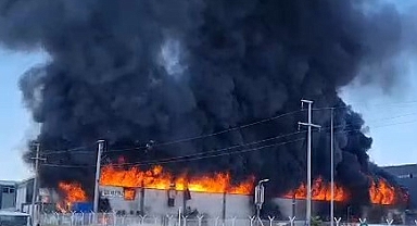 Denizli’de Geri Dönüşüm Tesisinde Yangın