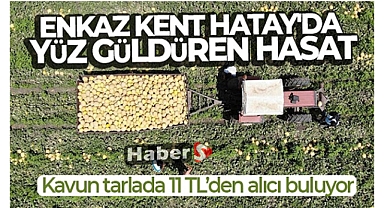 Enkaz kent Hatay'da yüz güldüren hasat