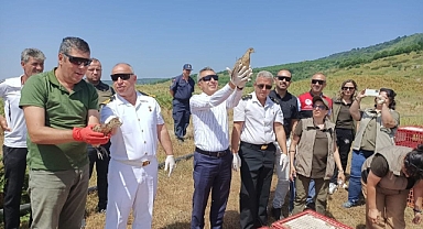 Erdek’te 350 Sülün Ve Keklik Doğayla Buluştu   