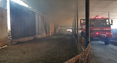 Gönen'de Büyükbaş Hayvan Çiftliğinde Yangın Çıktı