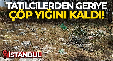 Utanç Tablosu, İstanbul Çöp Yığını Oldu