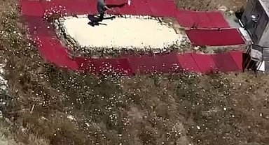 İstanbul'da hayvana şiddet kameraya yansıdı: Güvercini fırlatıp tekmeledi