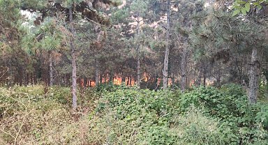 İstanbul'da orman yangını