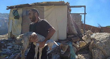 Sebebi Henüz Bilinmeyen Yangında 40 Küçükbaş Hayvan Telef Oldu