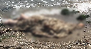 İzmir'de deniz kenarında erkek cesedi bulundu