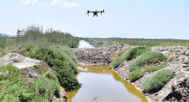 İzmir'de sivrisinek ile dronlu mücadele