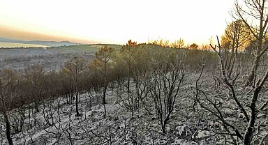 İzmir'deki orman yangınlarında soğutma çalışmaları sürüyor