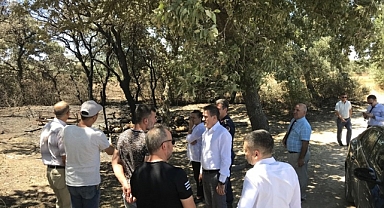  Kaymakam Memiş, 33 Koyunun Telef Olduğu Ağılda İnceleme Yaptı 