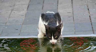 Mega kent İstanbul'da sıcak hava bunalttı
