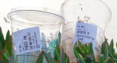 Mesut Ergin'in İlginç Sosyal Medyada Tepkisi Viral Oldu