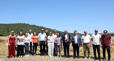 Mudanya'da Buğday Hasadı Zamanı 