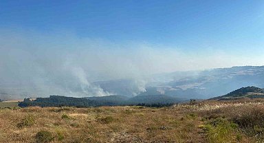 Orman Yangını 18 Saattir Kontrol Altına Alınmaya Çalışılıyor