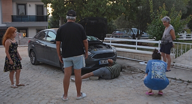 Otomobil Kaputunda Mahsur Kalan Kedi İçin Seferber Oldular 