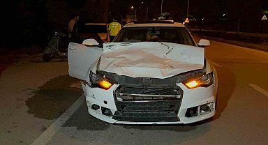 Otomobilin Çarptığı Hayvan Telef Oldu