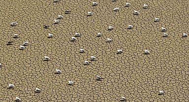 Sıcak havanın etkisini sürdürdüğü İstanbul'daki barajlarda son durum