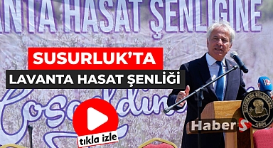 SUSURLUK’TA LAVANTA HASAT ŞENLİĞİ