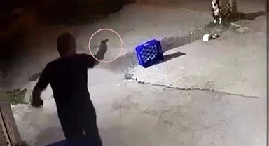 Tartıştığı Eğlence Mekanı Sahibinin Köpeğine Bir Şarjör Mermi Sıktı