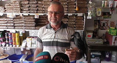Tedavi ettiği karga 5 yıldır yanından bir an olsun ayrılmıyor