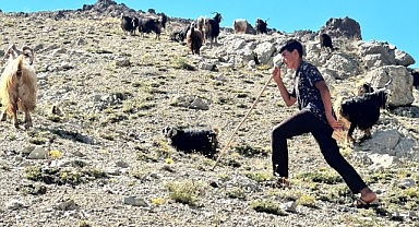 Yaylada Çobanlık Yapan Muhammet, LGS'de Türkiye İkincisi Oldu