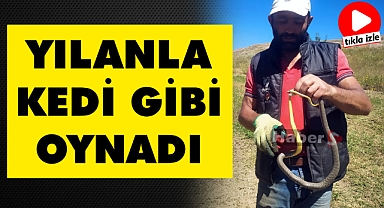 YILANLA KEDİ GİBİ OYNADI