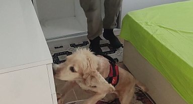 9 kilogram kokain Çaki'ye takıldı