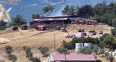 Ahır yangınında 2 büyükbaş hayvan telef oldu