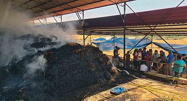 Ahır yangınında zarar büyük