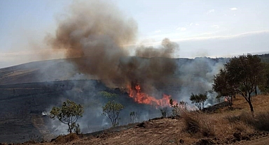 Avşa Adasında 2 Günde 2 Yangın Çıktı 