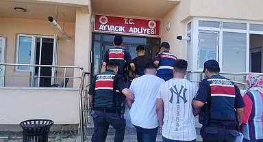 Ayvacık'ta zeytinyağ çalan 3 şüpheli jandarma tarafından yakalandı