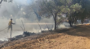 Ayvacık'ta ziraat alanında çıkan yangın kontrol altına alındı