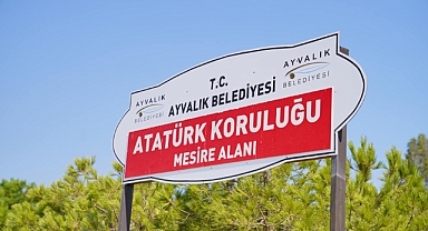 Ayvalık’ın Mesire Alanı’nda Kent Mobilyaları Baştan Sona Yenileniyor