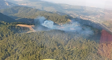 Balıkesir'de orman yangını kontrol altına alındı