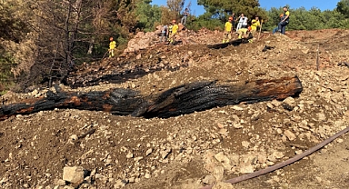 Balıkesir’de Orman Yangını Söndürüldü   