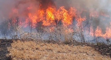 Bandırma’da Arazi Yangını 4 Saatte Söndürüldü 