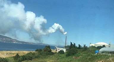 Bandırma Körfezinde Deniz Ve Hava Kirliliği Son Sürat Devam Ediyor   