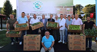 Beykozlu Çiftçiye 1 milyon fide desteği