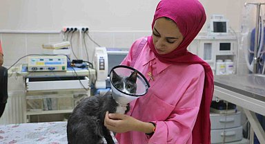 Bir sene içinde 6 ameliyat geçiren 'Duman', ampute edilerek yaşamını sürdürüyor