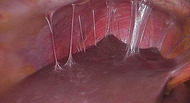 BUÜ'lü akademisyenin projesi 