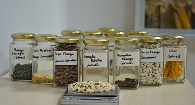 Büyükşehir Belediyesi, Ata Tohumlarını Geleceğe Taşıyor