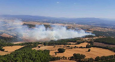 Çan'da orman yangını