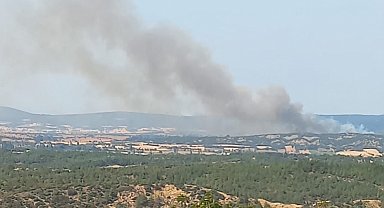 Çanakkale'de bu sefer tarihi yarımada yanıyor