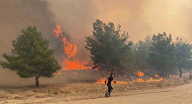 Çanakkale'deki orman yangınında köylüler hayvanlarını kurtarmaya çalışıyor