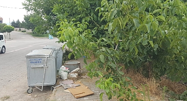 Çevremizi Temiz Tutalım, Kaldırımlar Yayalarındır