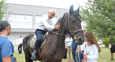 Cins Atlar Embriyo Transferi İçin Balıkesir'de